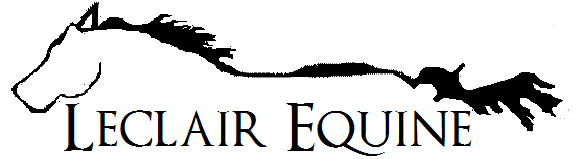 /images/logo.png